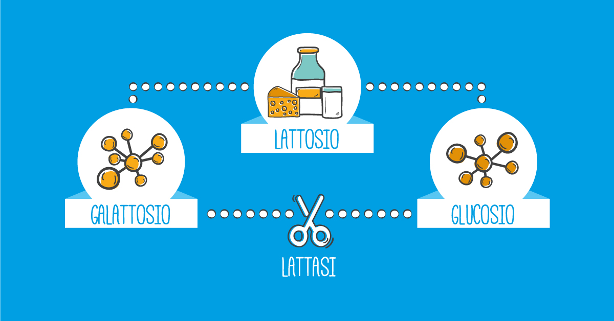 intolleranza-lattosio