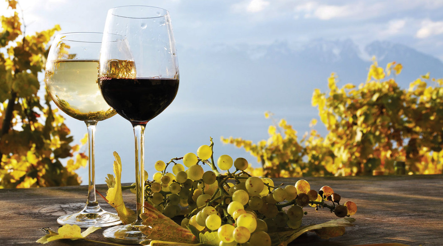 Vino biologico: ecco come riconoscerlo